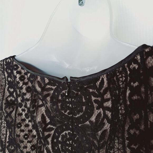 Adrianna Papell Pleat Stripe Filagree Dress Lace Overlay Fit Flare Cap Sleeve 10 - Picture 13 of 14